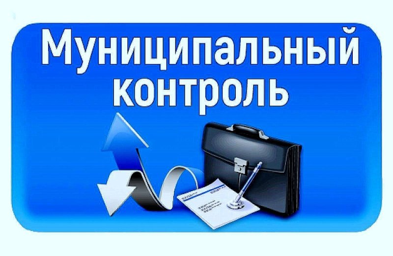 Муниципальный контроль в сфере благоустройства