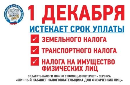 2 ДЕКАБРЯ СРОК УПЛАТЫ ИМУЩЕСТВЕННЫХ НАЛОГОВ. 2 ДЕКАБРЯ СРОК УПЛАТЫ ИМУЩЕСТВЕННЫХ НАЛОГОВ.