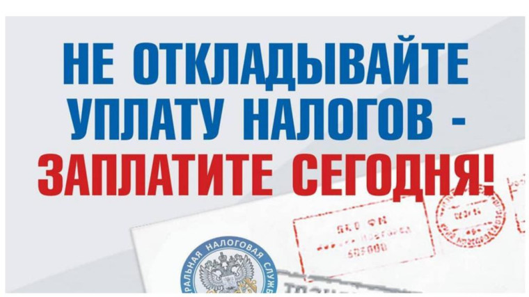 Уплатите налоги не позднее 2 декабря 2024 года. Уплатите налоги не позднее 2 декабря 2024 года.